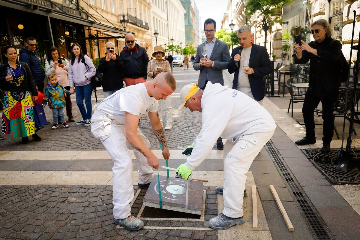 Ifj. Gál Tibor és az ő csillaga Fotó: Nemes Róbert