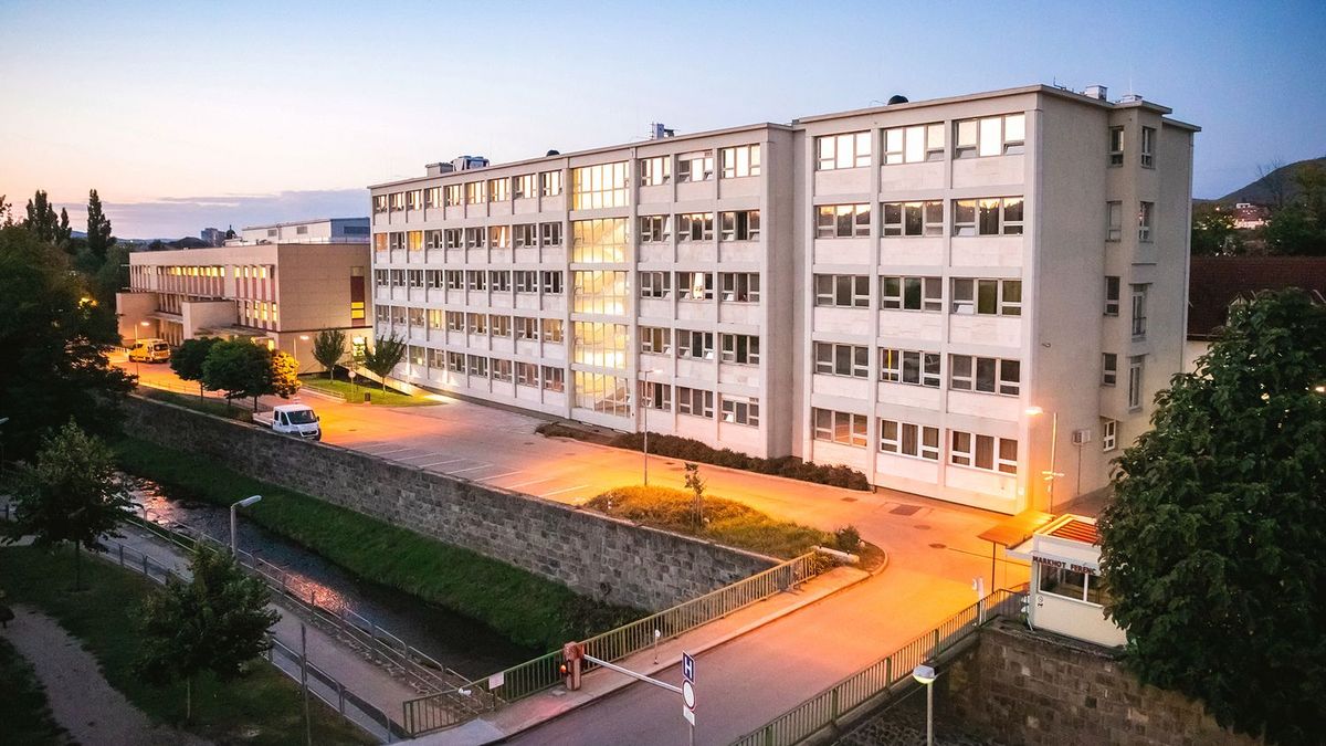 kórház, levél, vendég