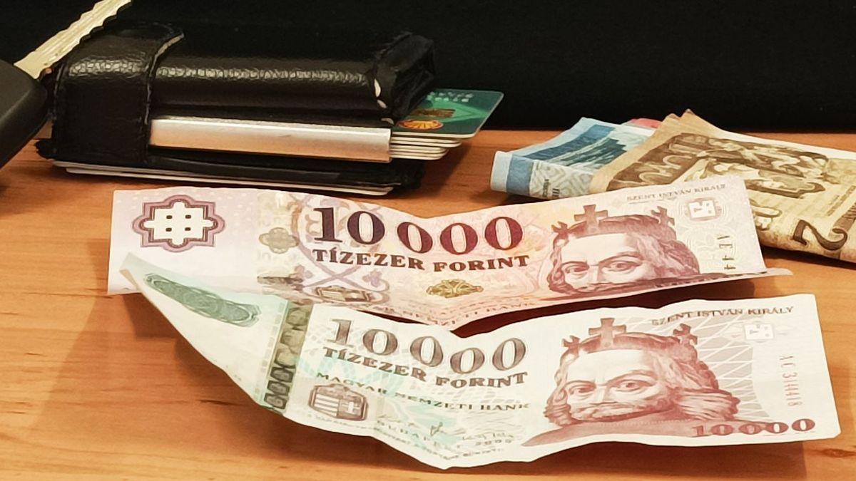 Hipp-hopp nő a NAV tartozás Illusztráció: MW
