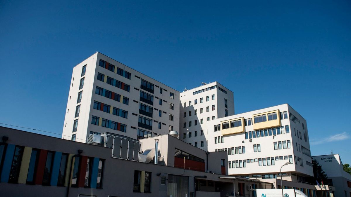 Napokig feküdt a hatvani kórházban, olyasmit tapasztalt, hogy azonnal le kellett írnia