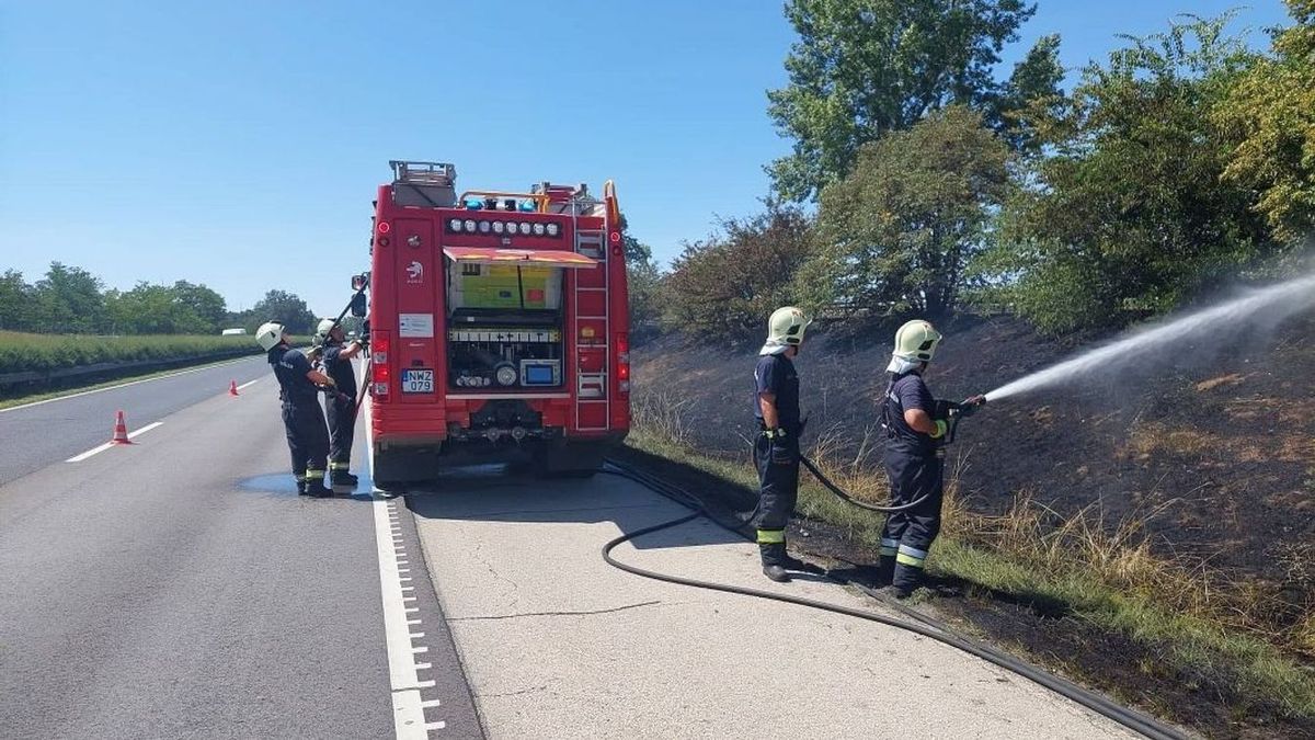 Tűz ütött ki az M3-as autópálya mellett.
