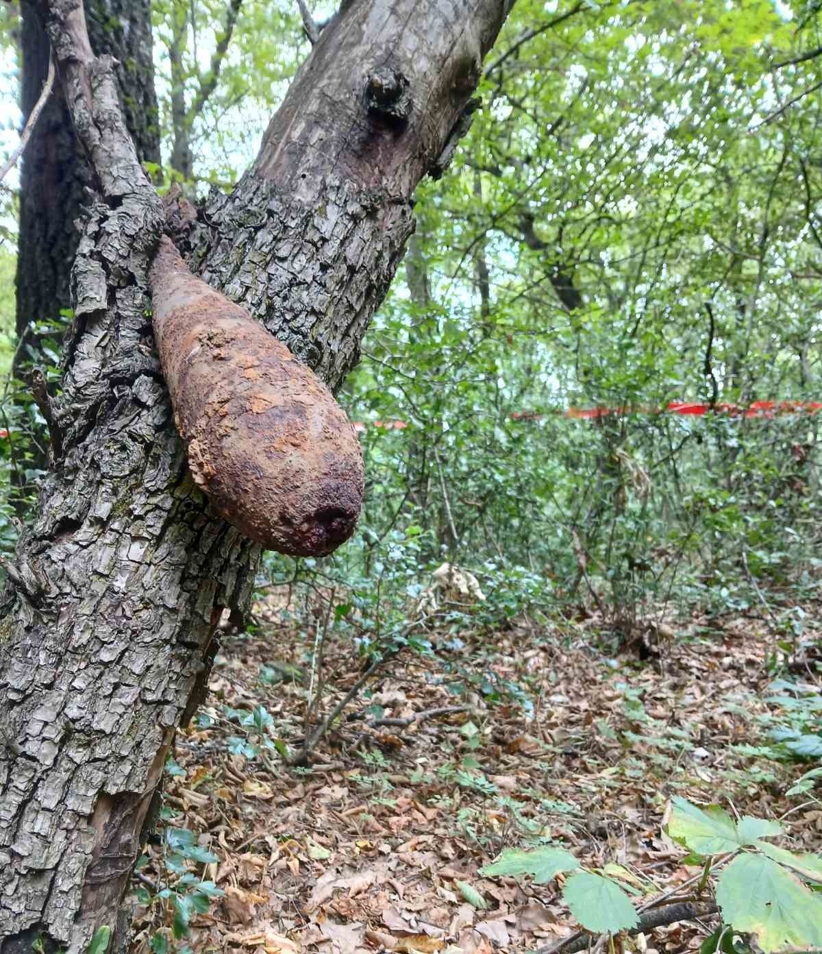 Egy fába ékelődött a Sirok mellett talált bomba