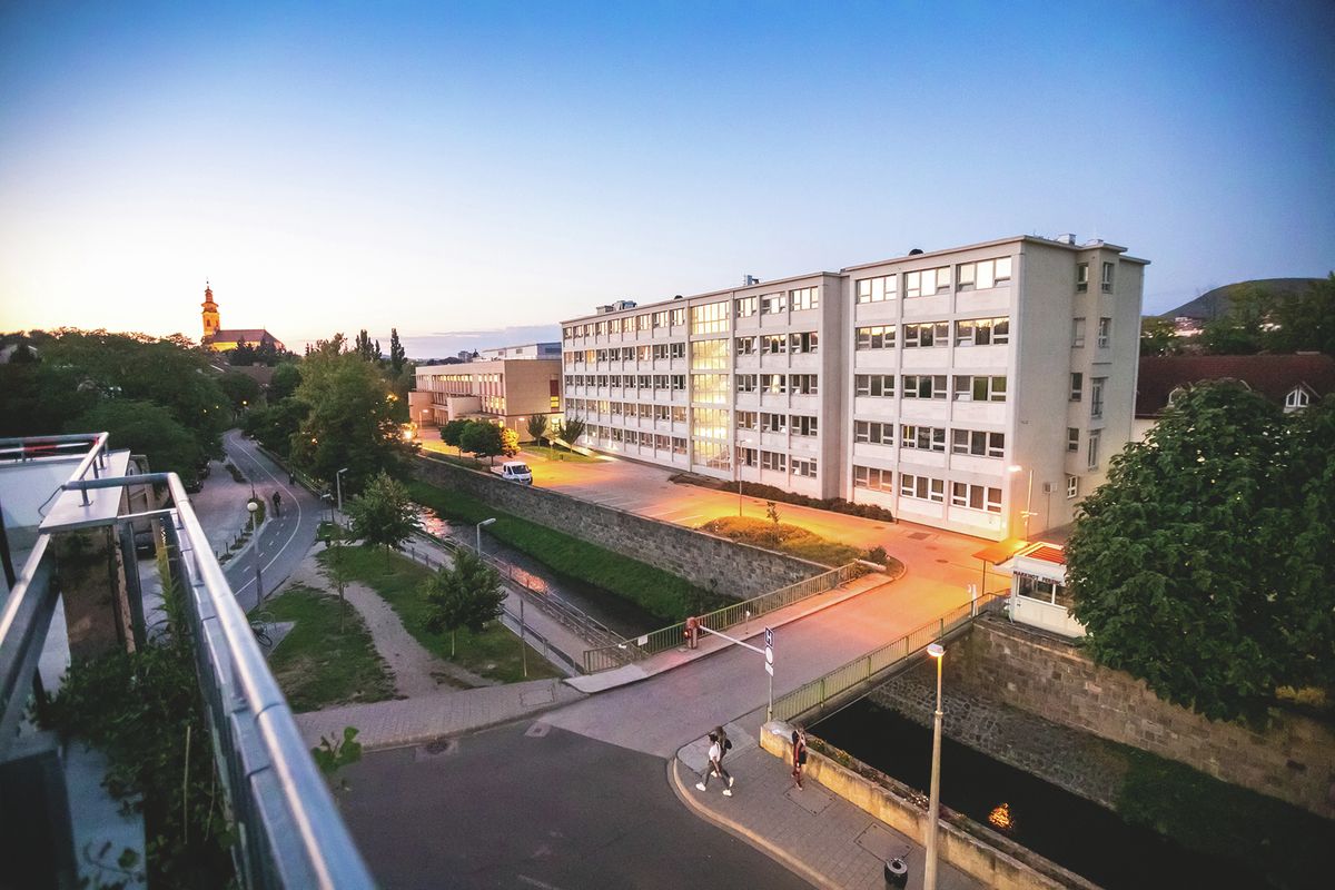 kórház, levél, hála