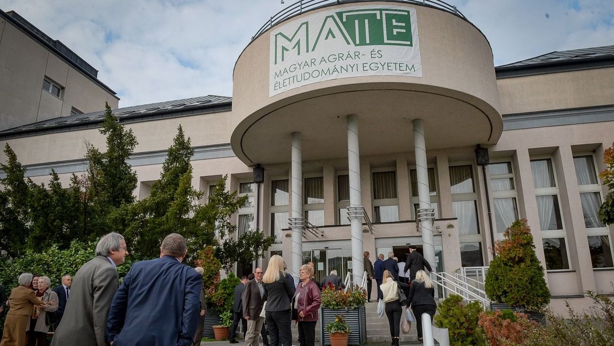 A felvételt nyert jelentkezők többsége levelező munkarendben kezdi egyetemi tanulmányait ősszel a gyöngyösi campuson