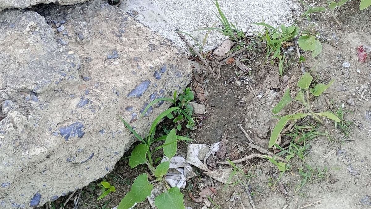 Emberi maradványokat sodort partra a Tisza – többen rájuk tapostak
