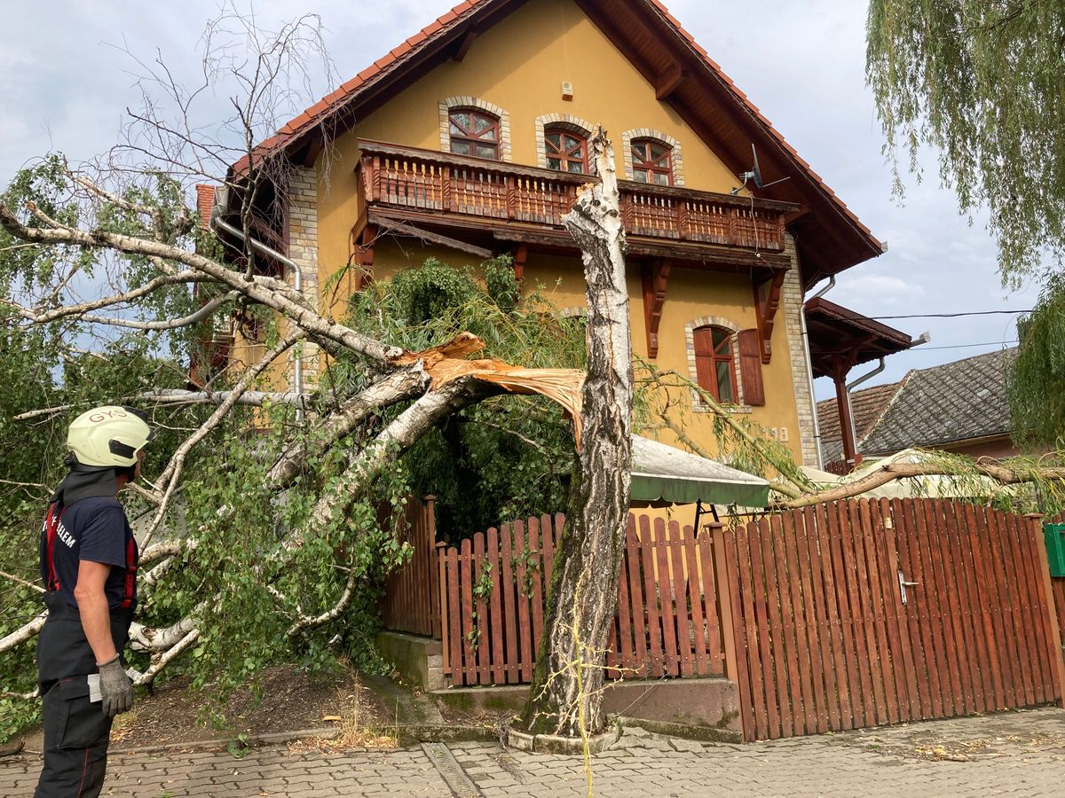 Viharkárok Gyöngyösön, leszakadt faágak, kettétört fák akadályozzák a közlekedést