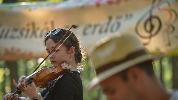 "Muzsikál az erdő" a Mátrában