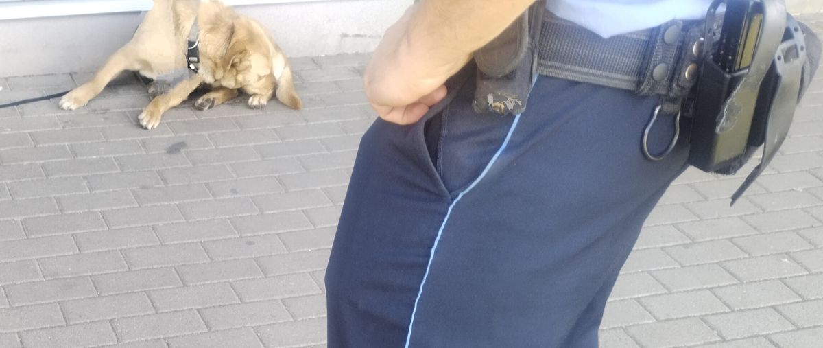 Kutyával kéregetett a belvárosban Fotó: Állatokat Védjük Együtt Alapítvány
