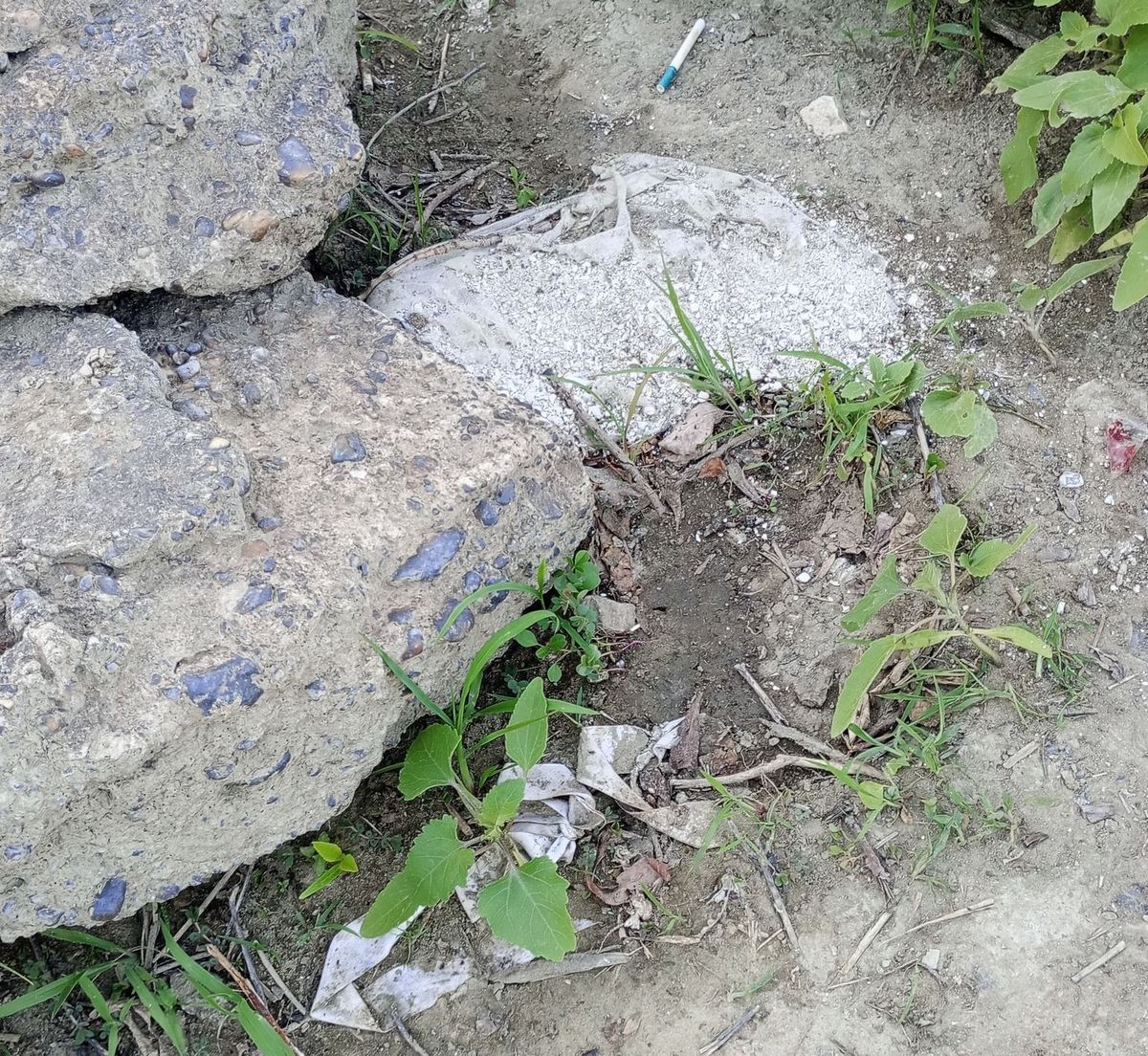 Emberi maradványokat sodort partra a Tisza