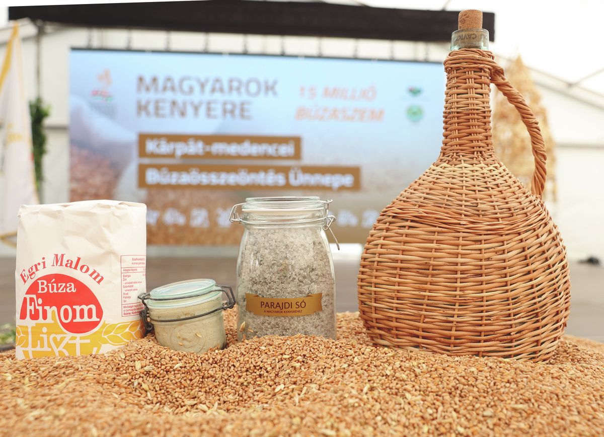 Az Egri Malom lisztjéből készült a kenyér a búza összeöntés ünnepén, Edelényben