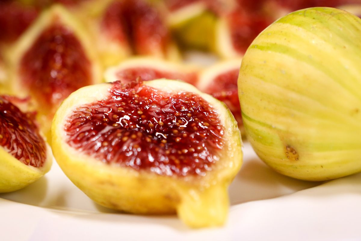 20230919_SZAK0594_017