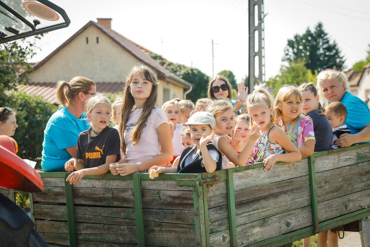Nem volt szüret szüreti felvonulás nélkül