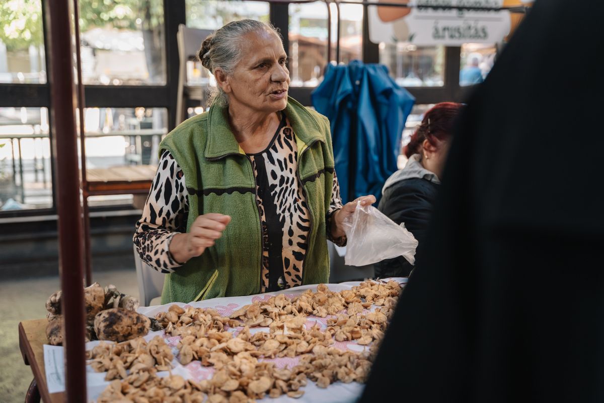 Van már a réten, a legelőn is gomba. Az áruso mellett gombaszakértő is van a piacon Fotó: Bóta Zoltán/heol.hu