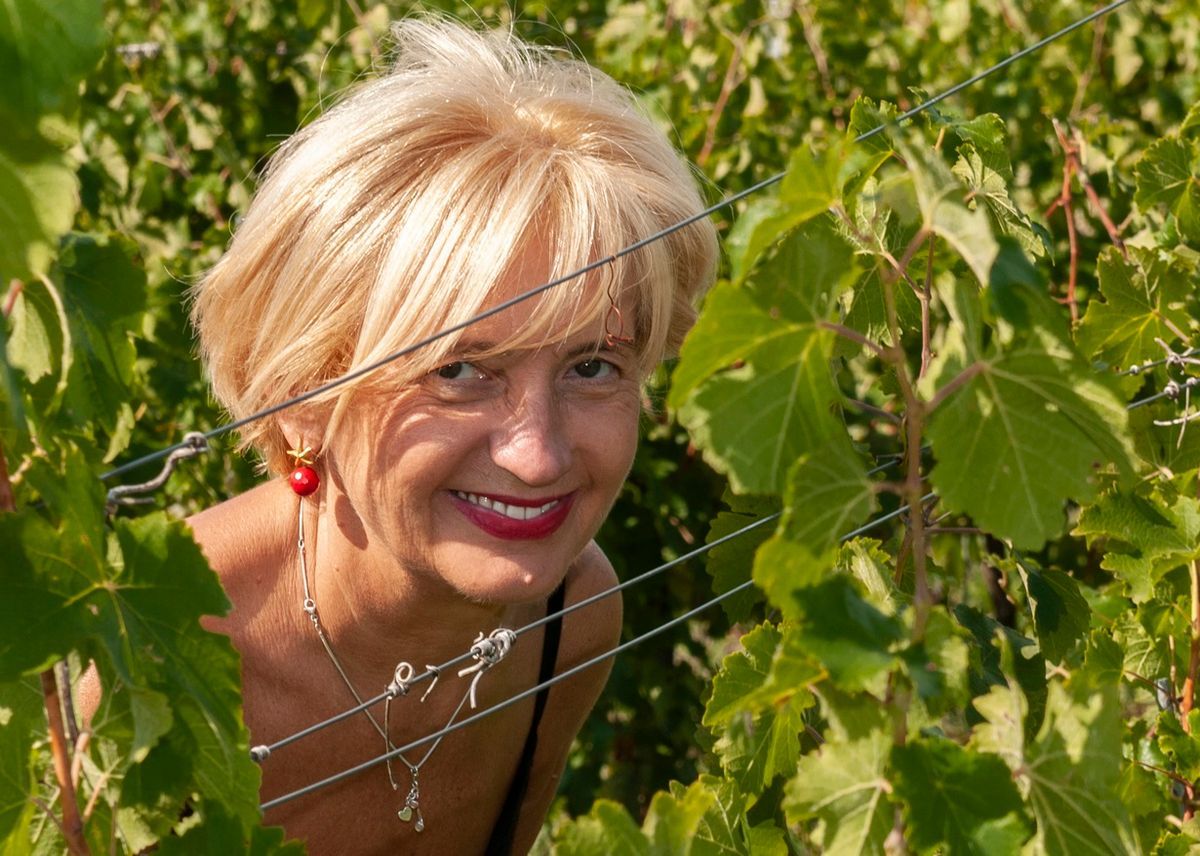 Hegyközségi tanácselnök