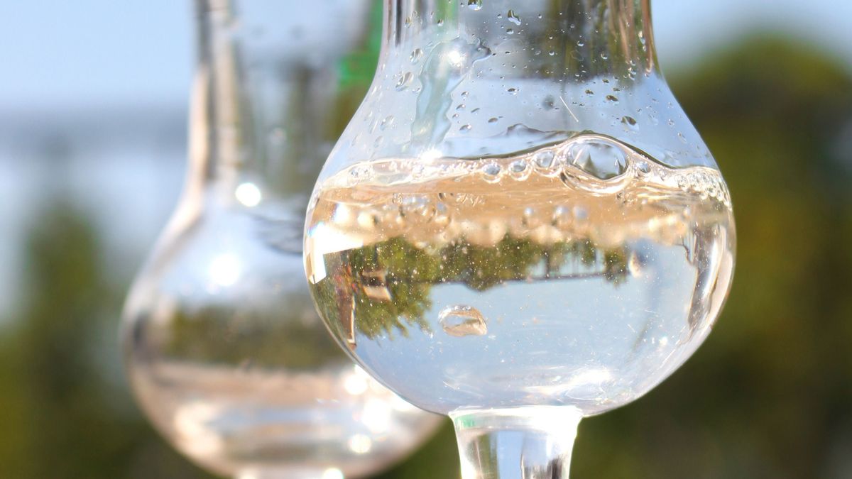 A pálinkafőzés alapjai hagyományosak, szabályai szigorúak, de ezeken belül egyéni ízvilágok kísérletezhetők ki kevéssé használatos gyümölcsökből