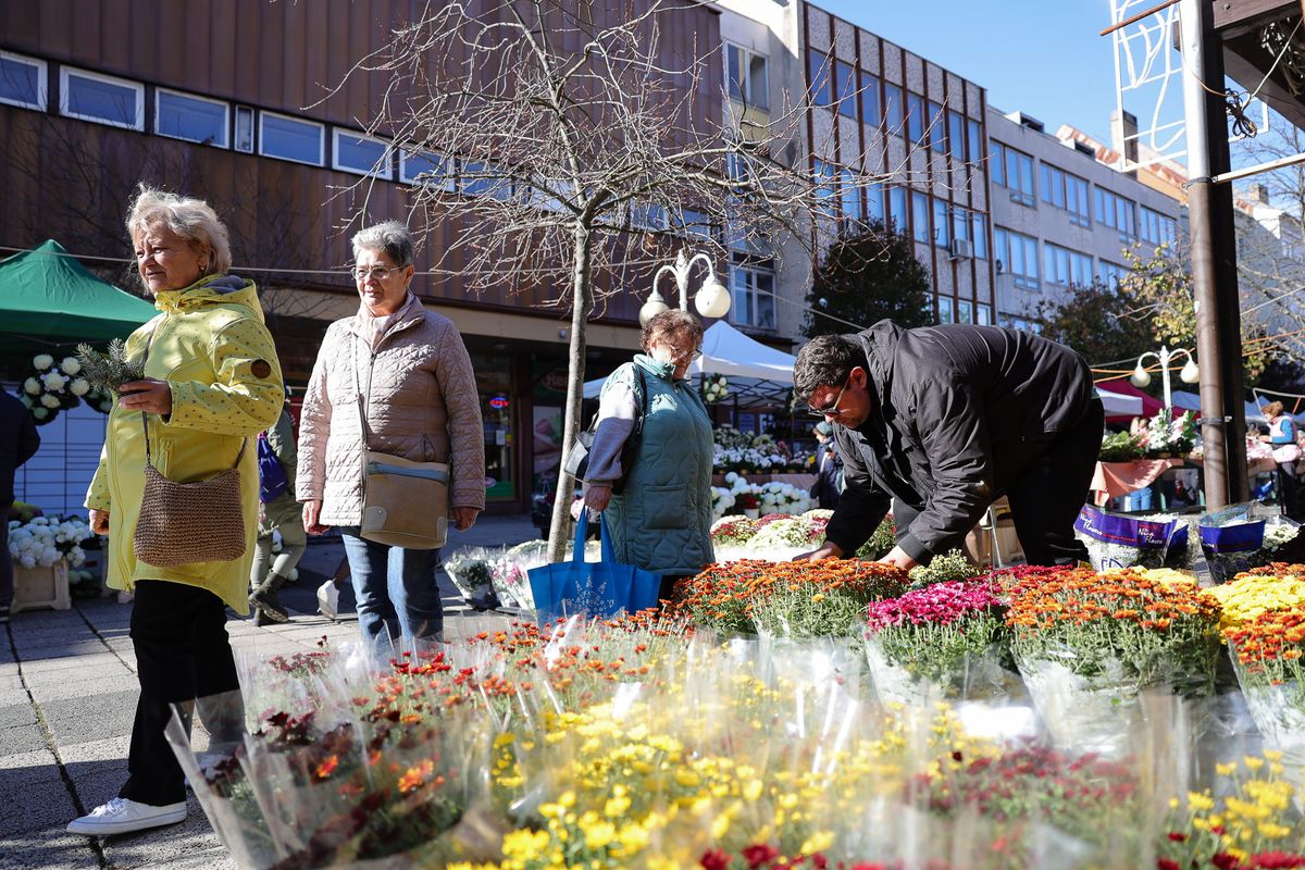 A színes cserepes krizentém a sláger halottak napja környékén Fotó: Huszár Márk/heol.hu
