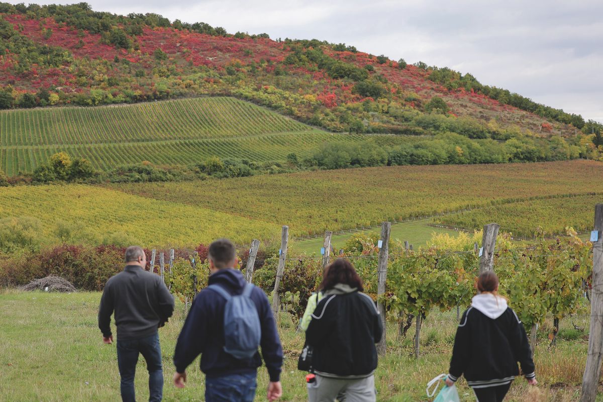 Heves vármegyében 21 napon keresztül zajlottak hatósági ellenőrzések és szemlecsoportok is segítettek.