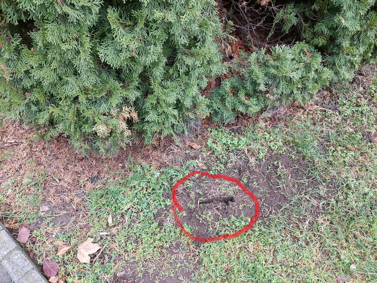 Hűlt helye az ünnepi dekornak