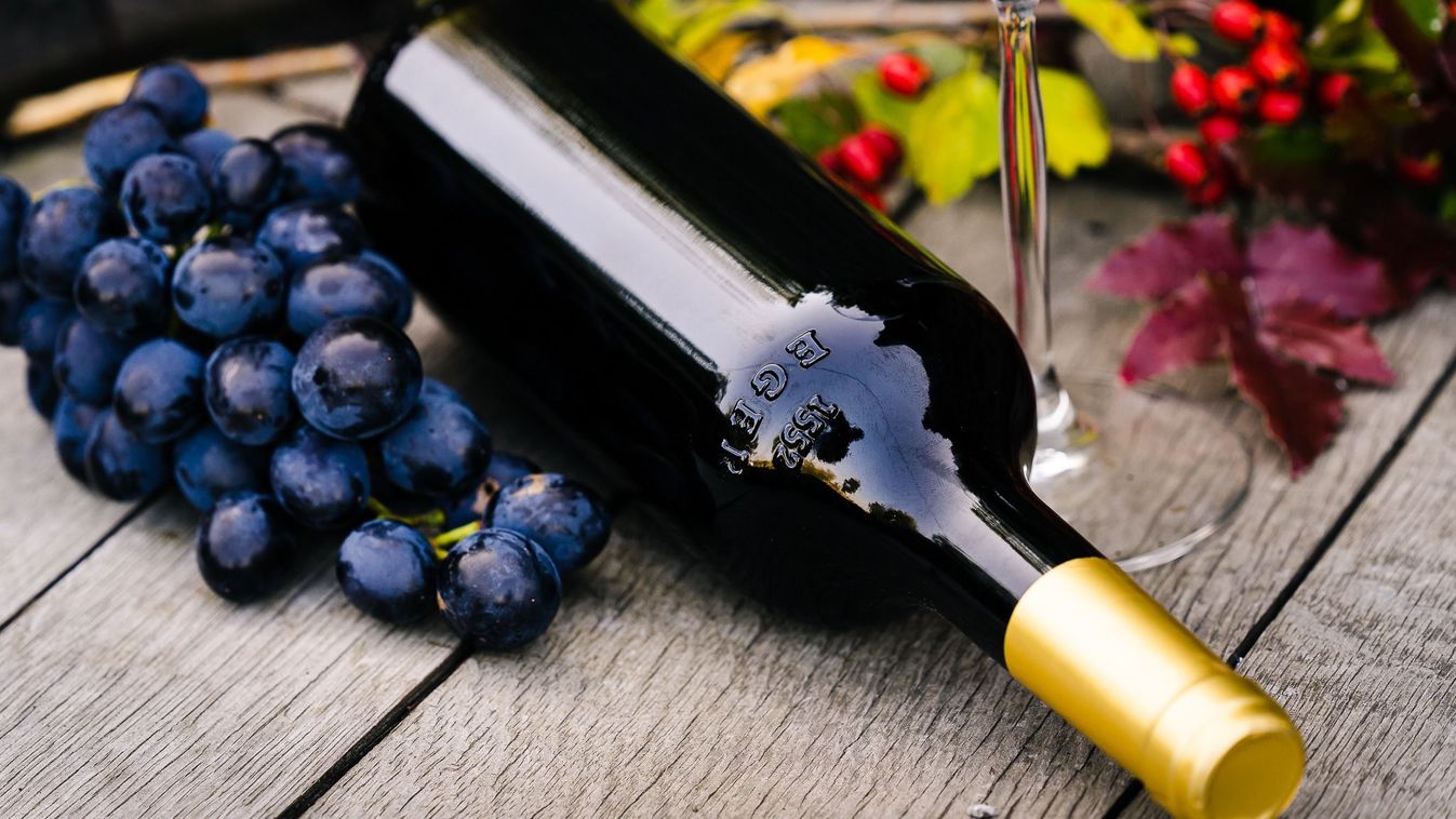 Milliós támogatás érkezett Egerbe, új kiállítás nyílhat a Vármúzeumban