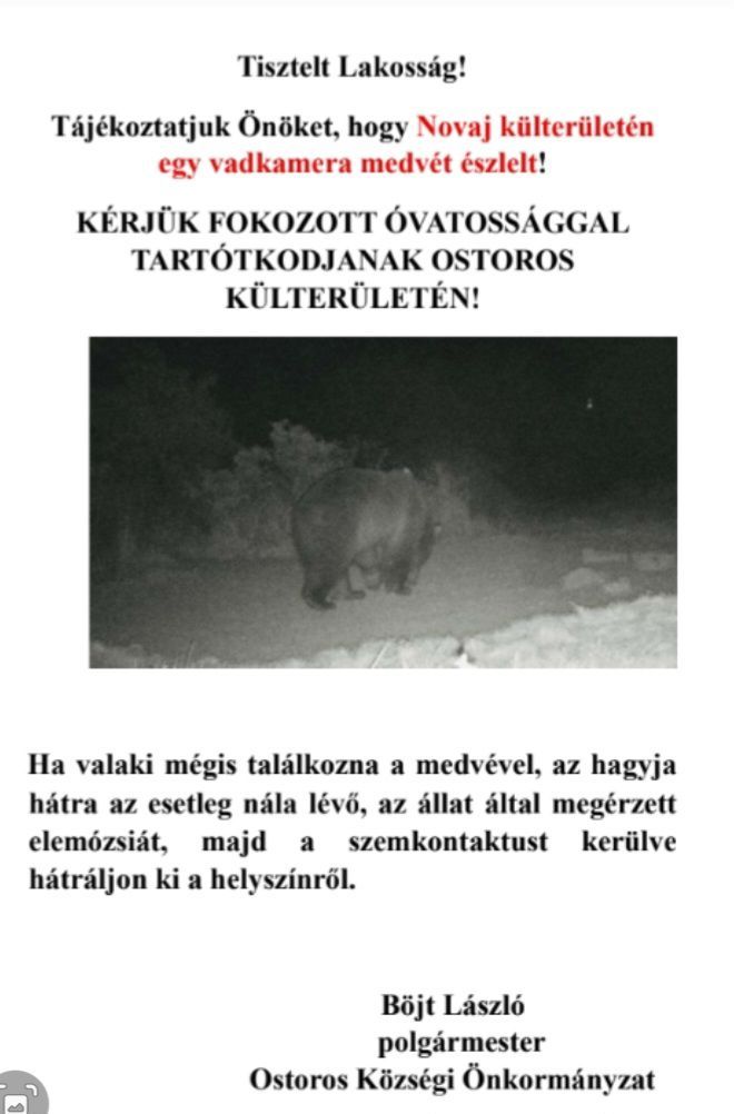 Az ostorosi önkormányzat is közzétett egy felhívást, a vadkamera le is fotózta a medvét 