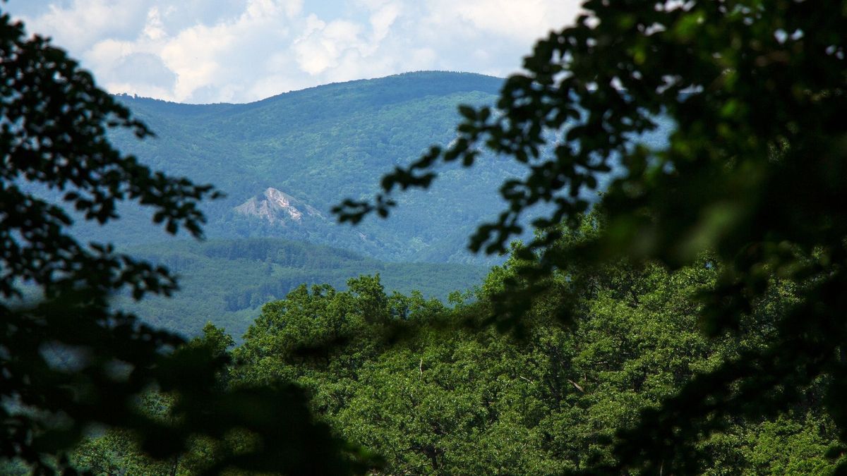 Utánajártunk miről kapta a nevét a felsőtárkányi Vár-hegy. 