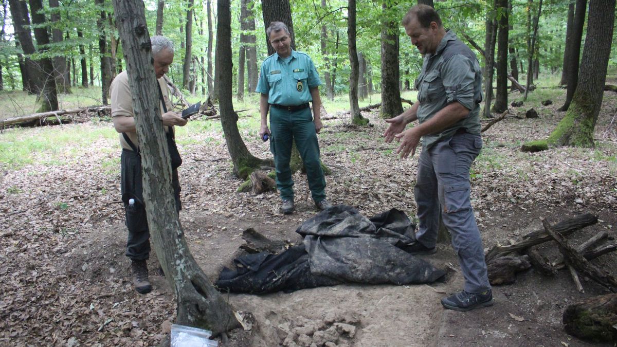 2700 éves titokra bukkantak a Bükkben: döbbenetes lelet került elő, ami átírhatja a történelmet – videó