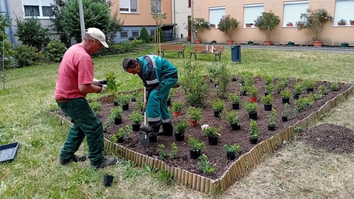 Virágok, frissen festett padok és rendezett sövények – így szépül Eger