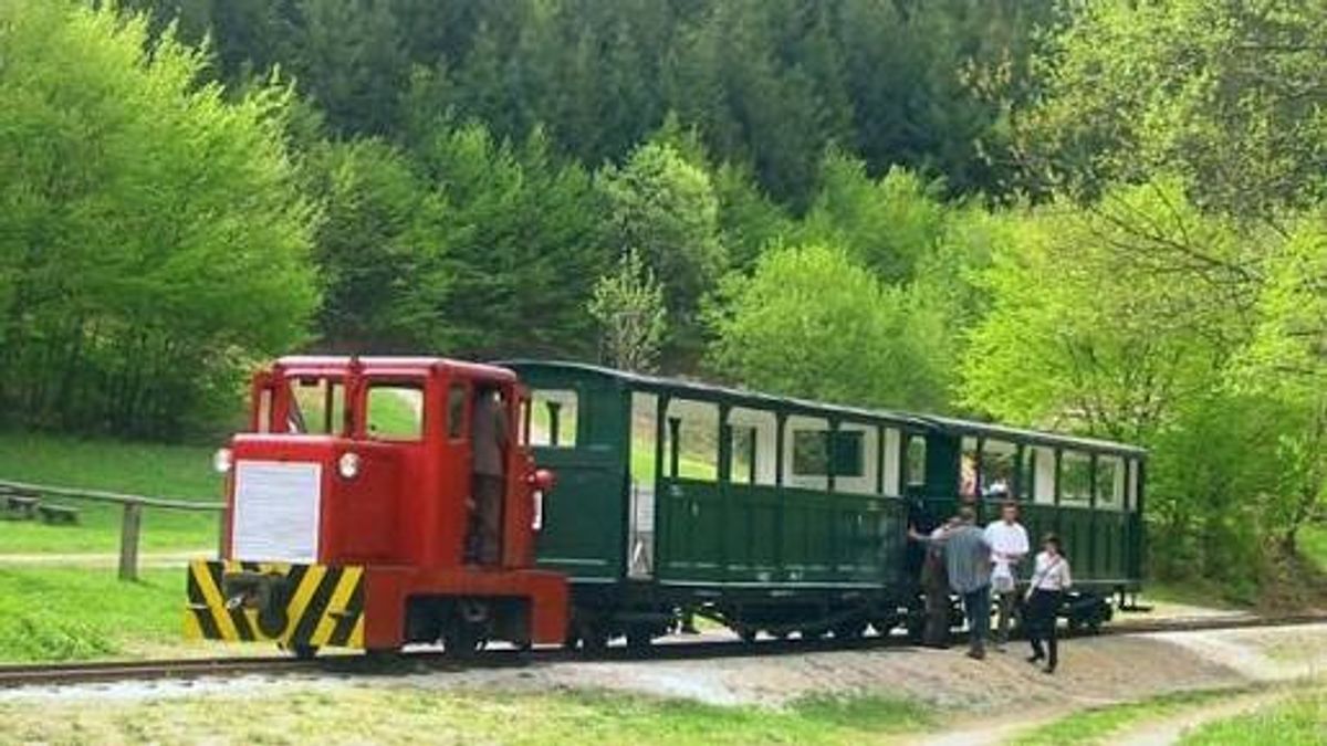 Figyelem, ha Felsőtárkányba készülsz: teljesen megváltozik a kisvasút menetrendje!