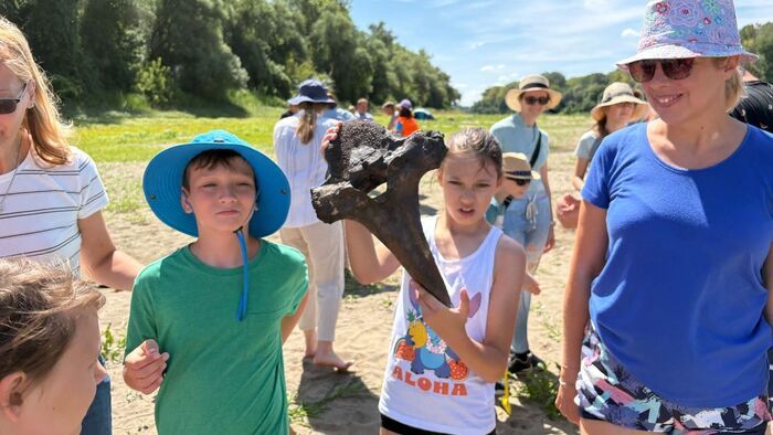 Mamutfogat találtak a Tisza-tó térségében, önkéntesek kutatták a múlt emlékeit