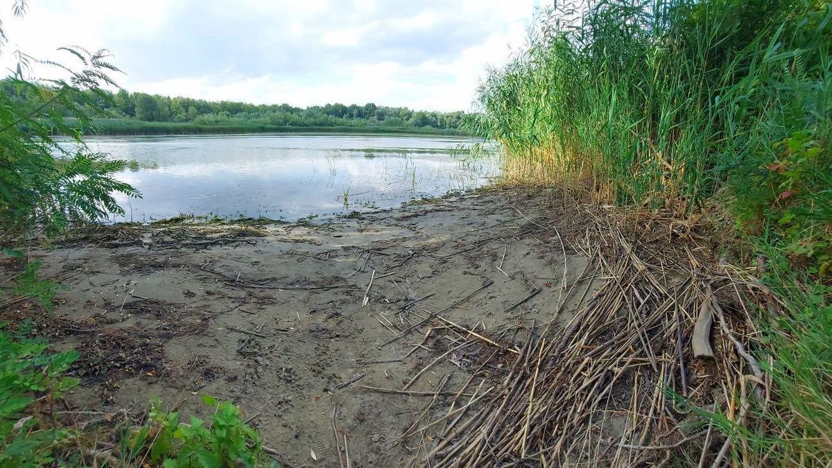 Hat nap alatt húsz centiméterrel süllyedt a vízszint a Tisza-tavon