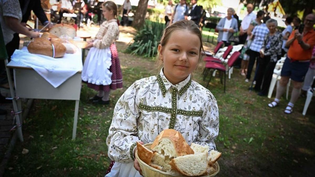 Ilyen lesz augusztus 20 Hevesben – Mutatjuk hol várnak koncertek és családi programok