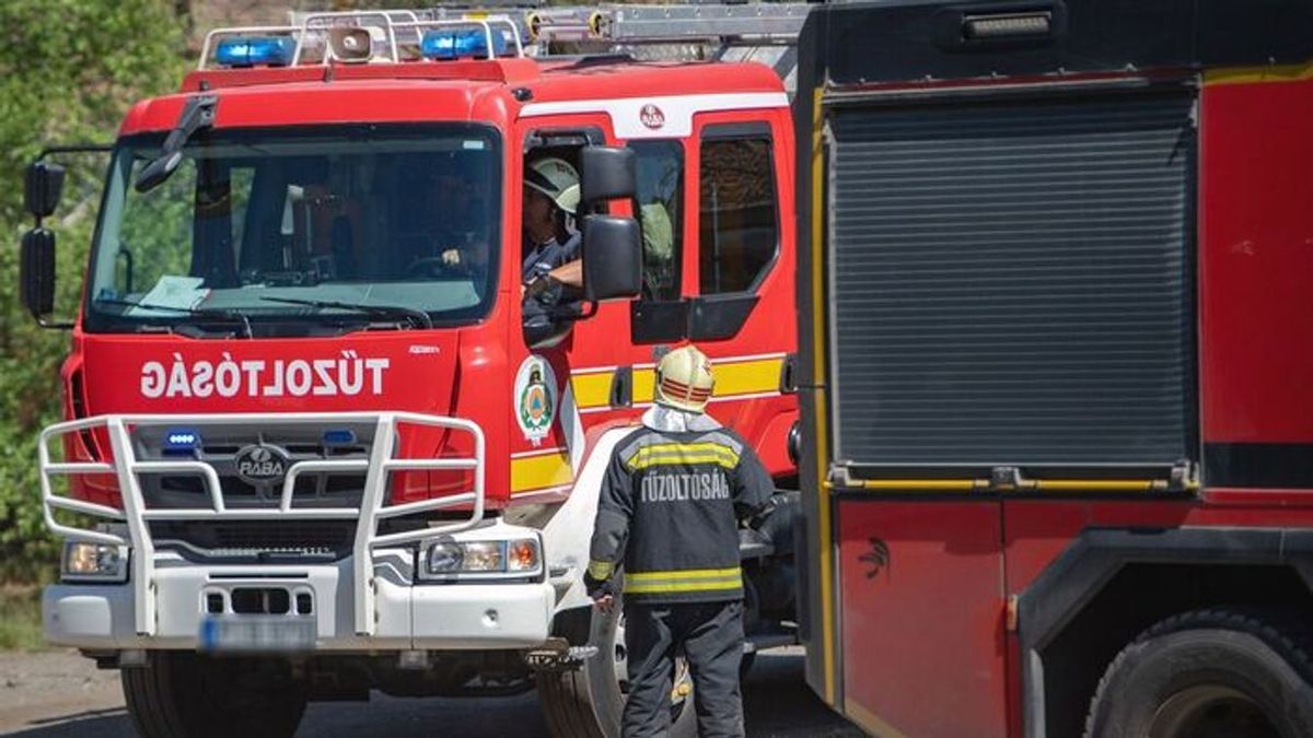 Két hektáron pusztít a tűz Eger külterületén: már az erdő is lángra kapott – részletek!
