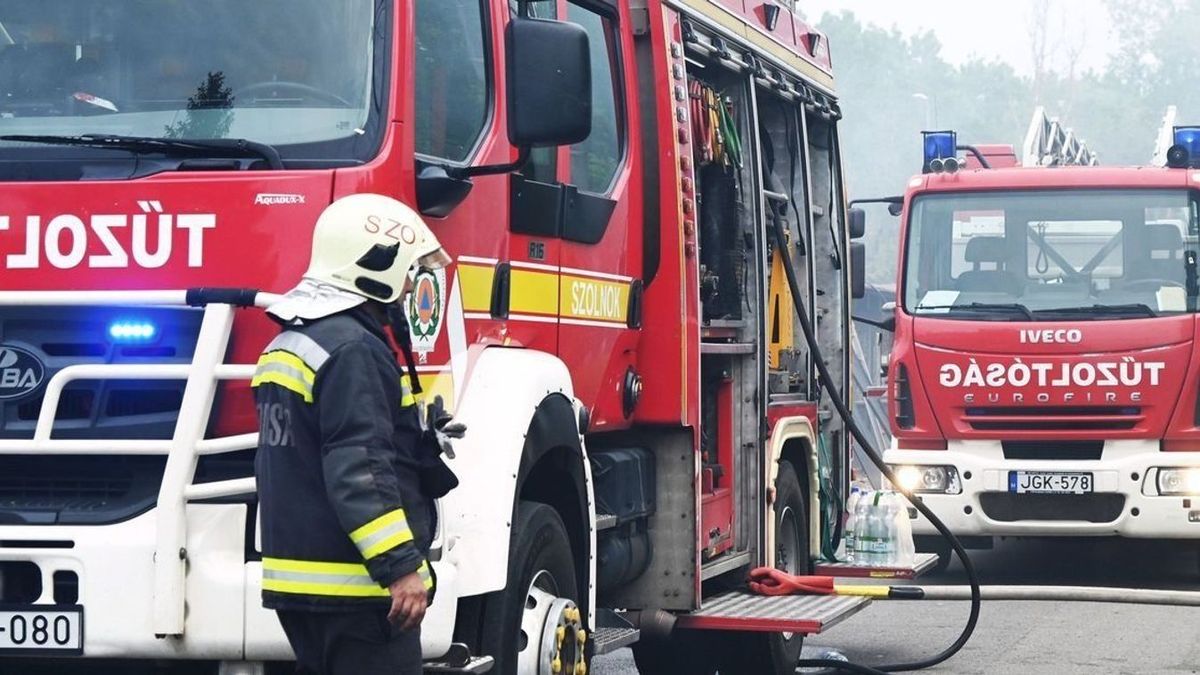 Hatalmas lángok emésztik a hatvani bozótost, már a fák koronáit is elérte a tűz