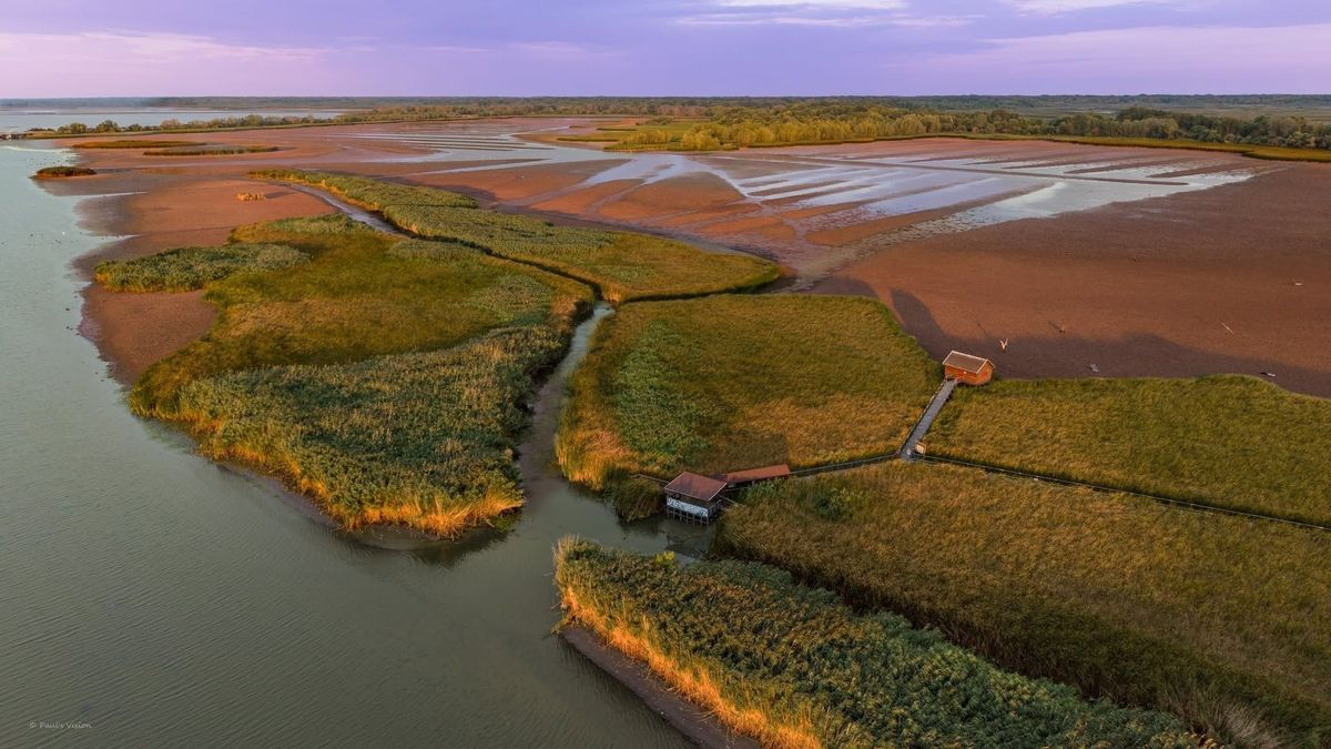 Szinte rá sem lehet ismerni a Tisza-tóra: elképesztő táj tárul fel a visszahúzódó víz nyomán