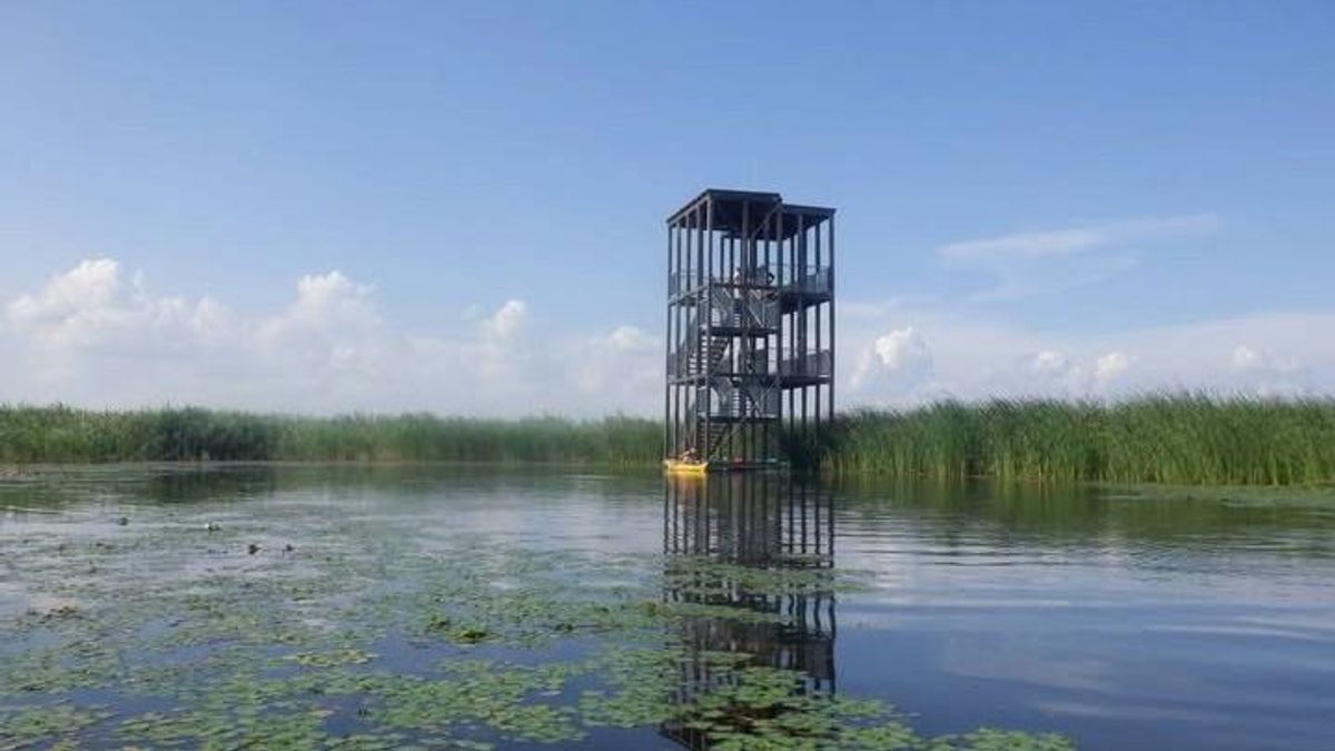 Veszélyesebbé válhat a hajózás a Tisza-tavon