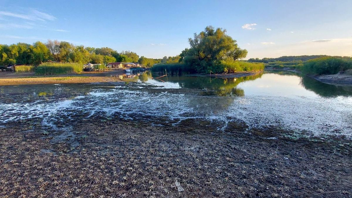 Rendkívüli intézkedések a Tiszán: kritikus szintre süllyedt a Tisza-tó vízkészlete