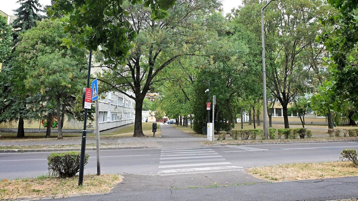 Miért nem működik az egri okoszebra? Megérkezett a válasz