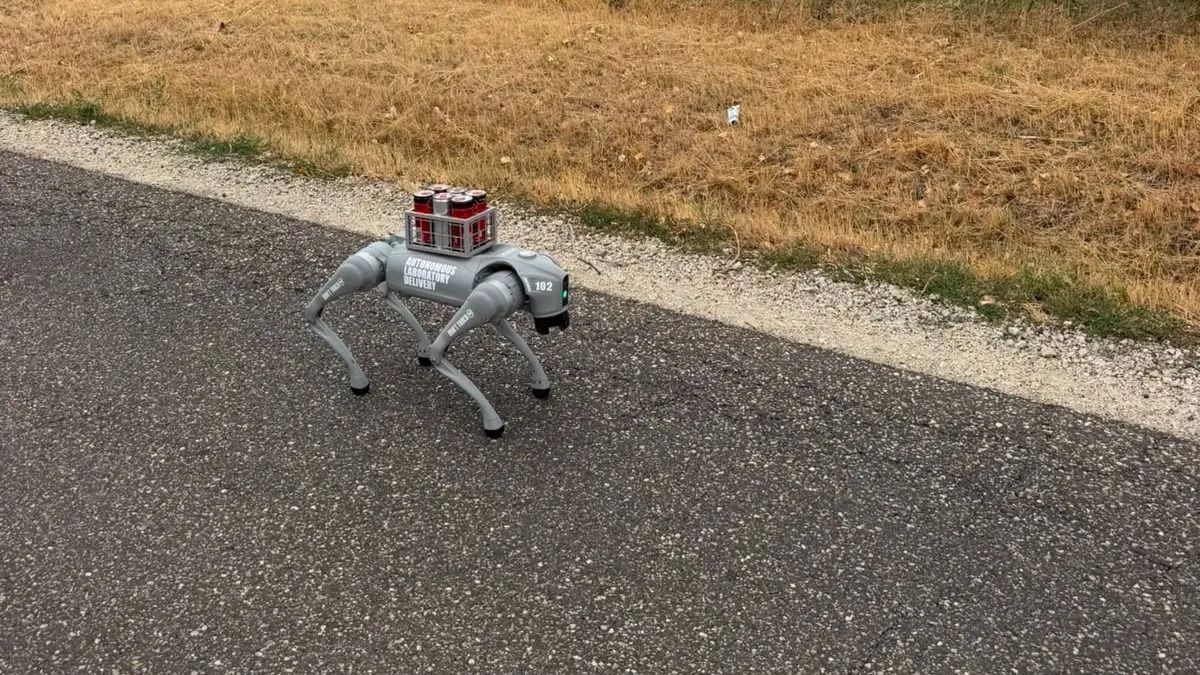 Elszökött egy robotkutya – az autósok csak pislogtak, amikor meglátták a 3-ason