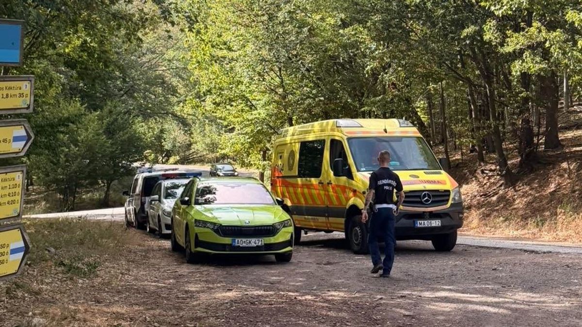 Vészjelzés érkezett tőle, majd a hívásokra sem válaszolt – azonnal a keresésére indultak a Mátrában