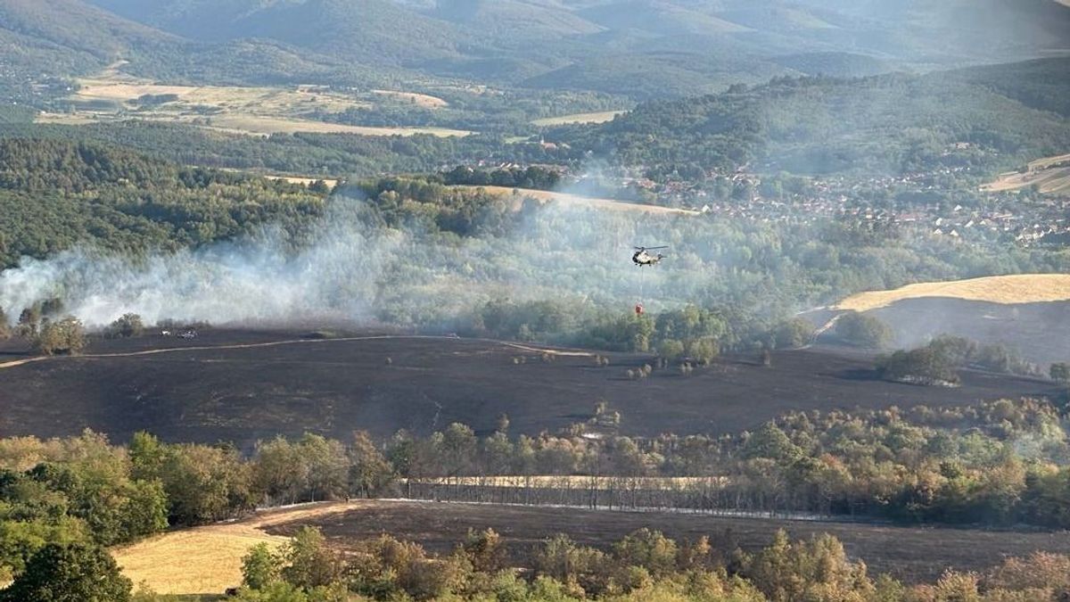 Drónok, helikopterek és terepjárók: így küzdenek az erdőtüzek ellen Hevesben
