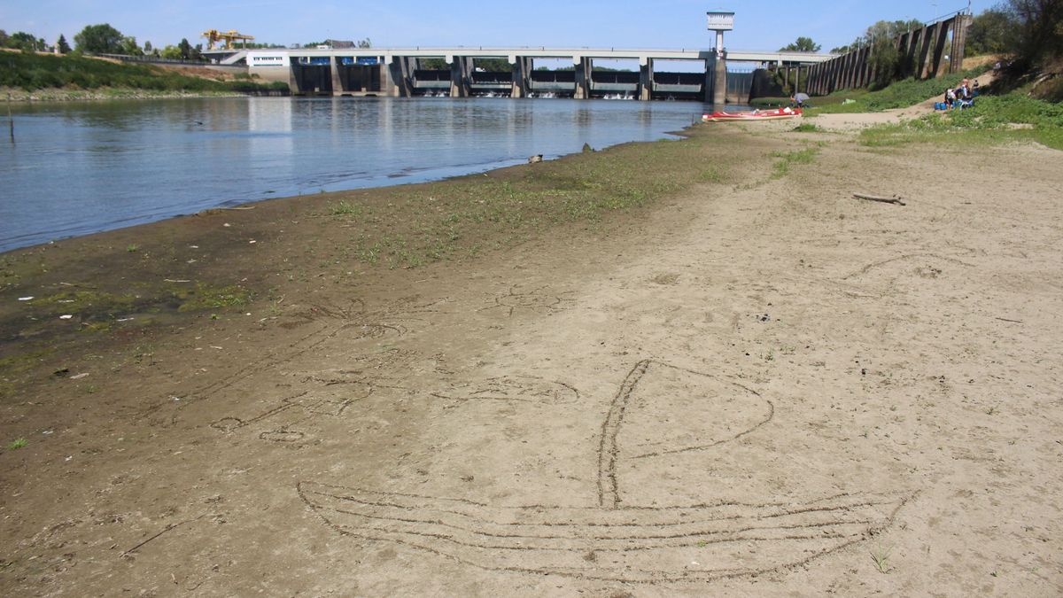 Apad a Tisza, zöldbe borult a folyó közepén felbukkant zátony – fotók, videó