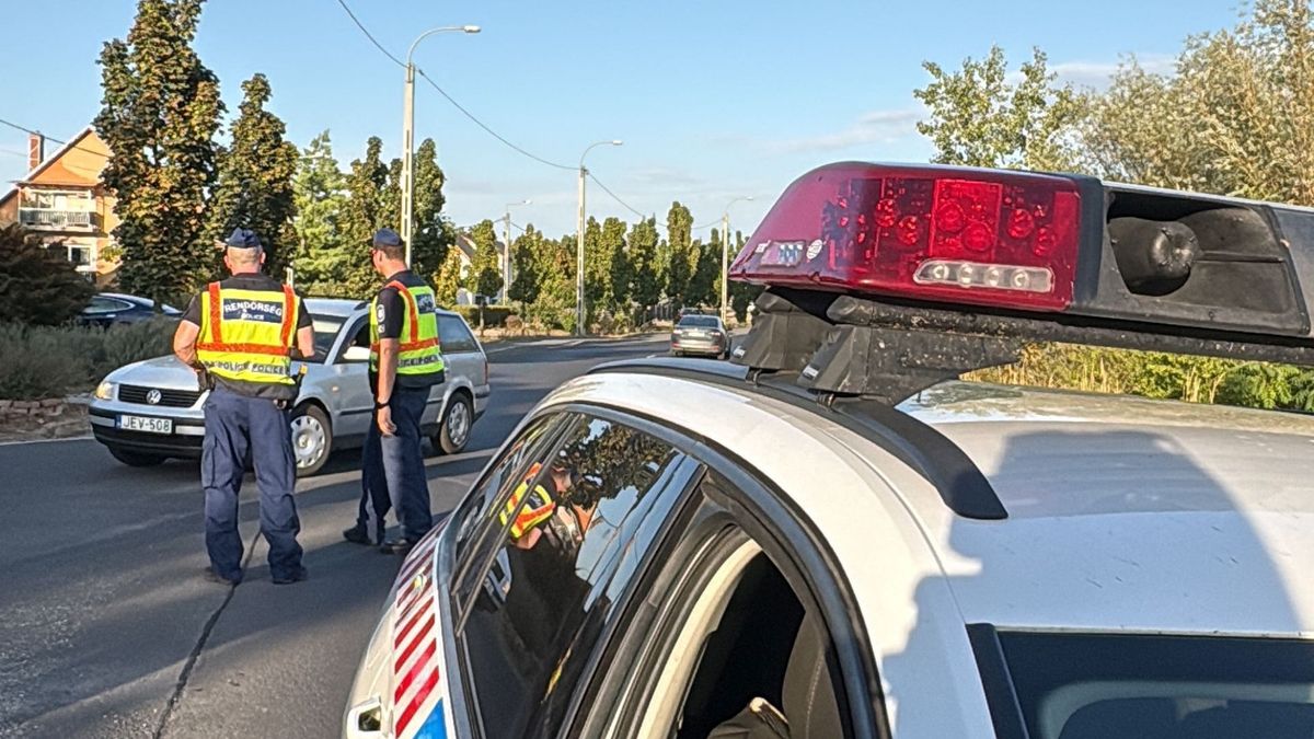 Több mint 100 embert igazoltattak a Tisza-tó térségében - videón az akció