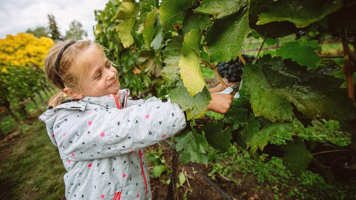 Alaposan megtréfál minket az időjárás pénteken! Mutatjuk, mire várhatunk a hét utolsó munkanapján!