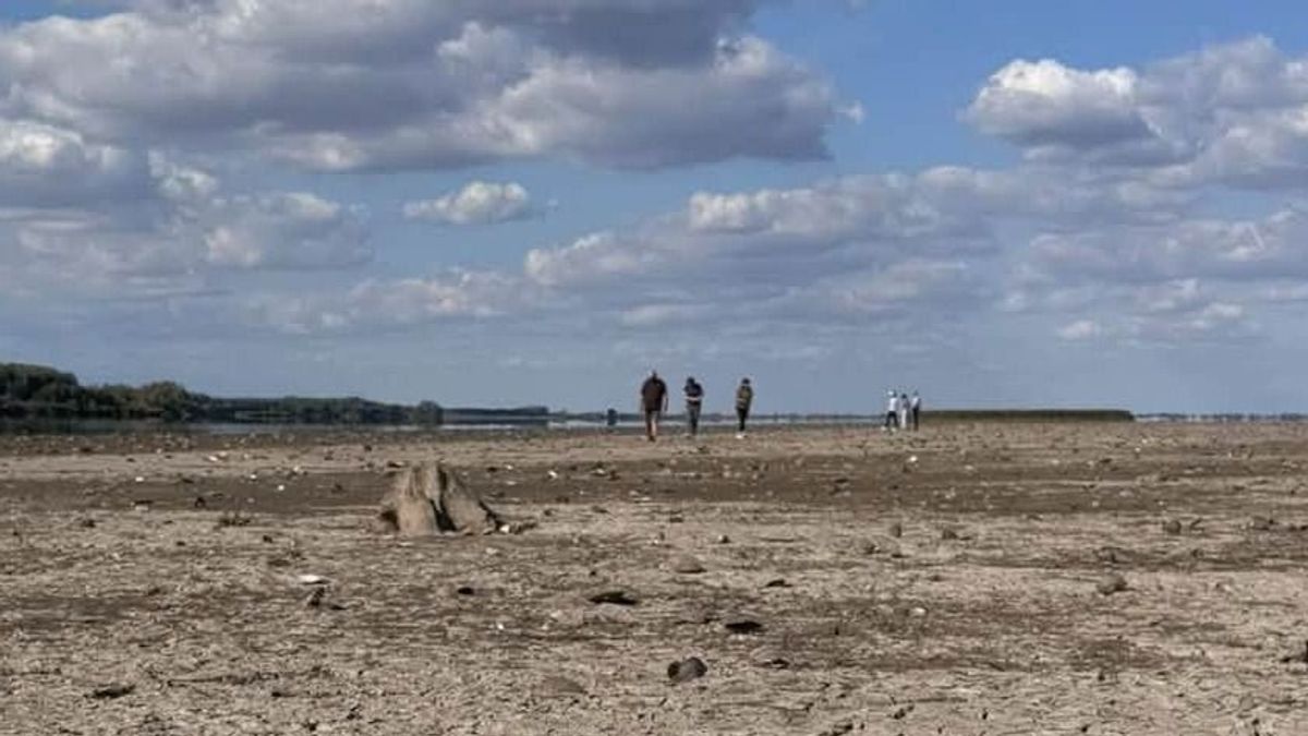 Sosem láttad még így a Tisza-tavat: egészen elképesztő, miket rejt a kiszáradt meder