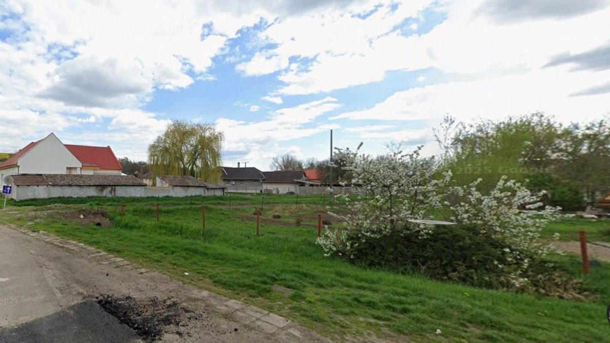 Veszélyes ragadozó járja a hevesi községet! – rendkívüli figyelmeztetést adott ki az önkormányzat