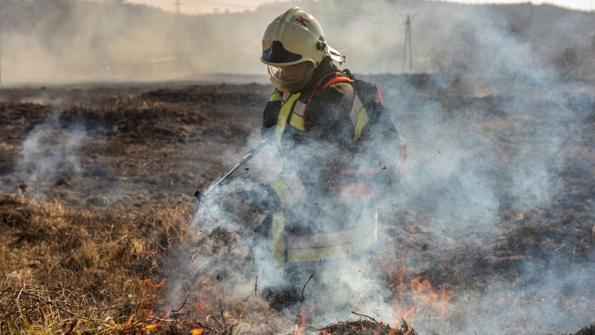 Kerítésen fennakadt őzikét mentettek Parádon
