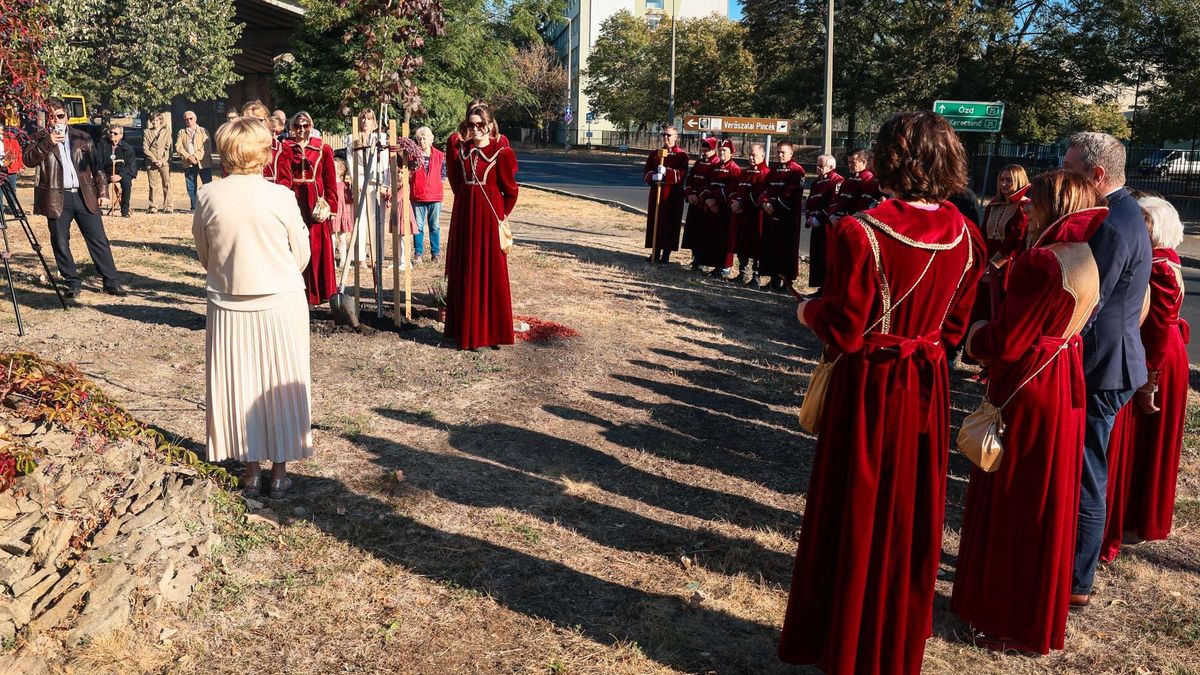 Az egri borászok emlékparkja újabb fával bővült: kiderült, kinek a nevét őrzi meg az utókor számára