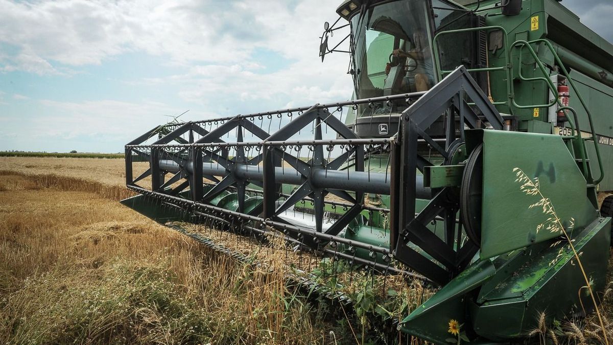 Miből lesz hazai kenyér? Övön aluli csapás érte a hevesi gazdaságokat, rengeteg mehet csődbe