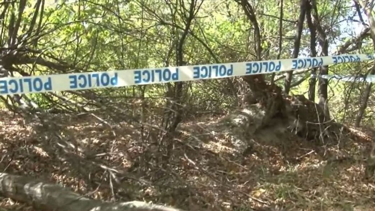Gomba helyett valami egészen elképesztőt találtak a Bükkben