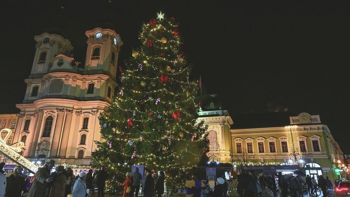 Eger karácsonyfáját keresik – lehet, hogy éppen az Ön kertjében áll